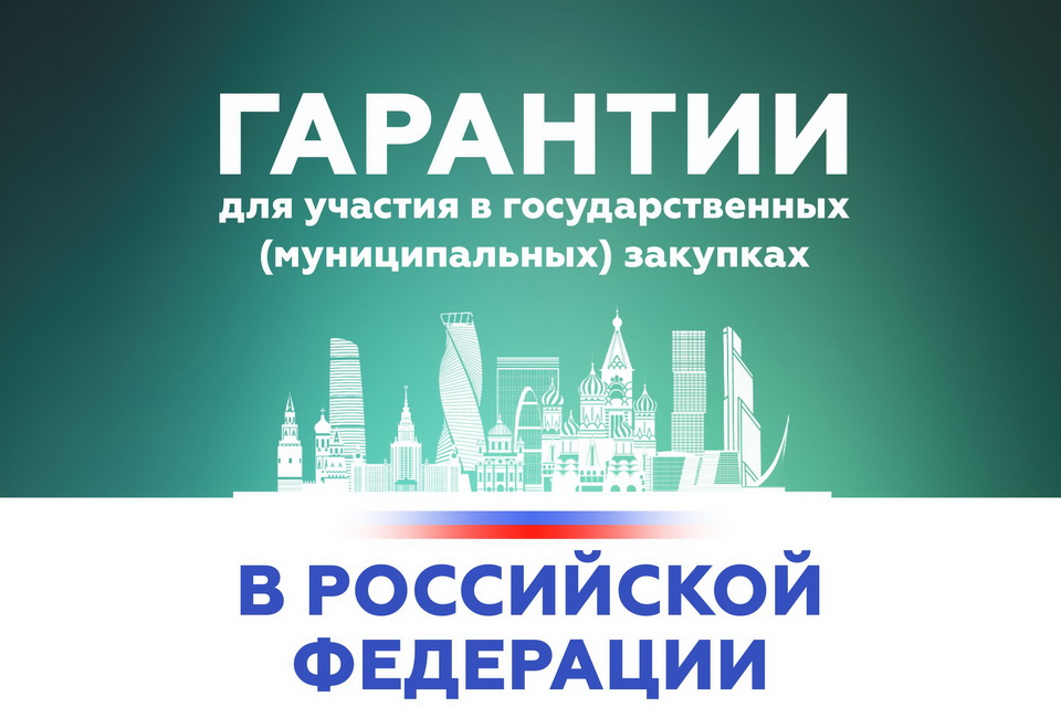 Гарантии для участия в государственных (муниципальных) закупках в Российской Федерации