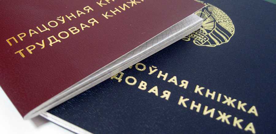 В Беларуси некоторым нанимателям разрешат не вести трудовые книжки работников