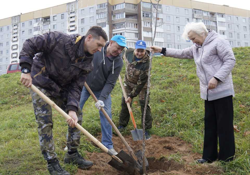 Фатинский залив преобразился благодаря зеленым насаждениям