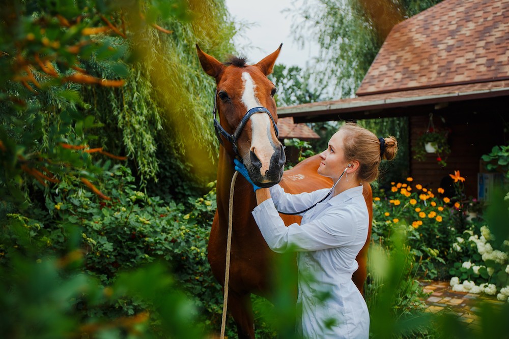 С раннего детства Дарья Соложенкова связала жизнь с лошадьми