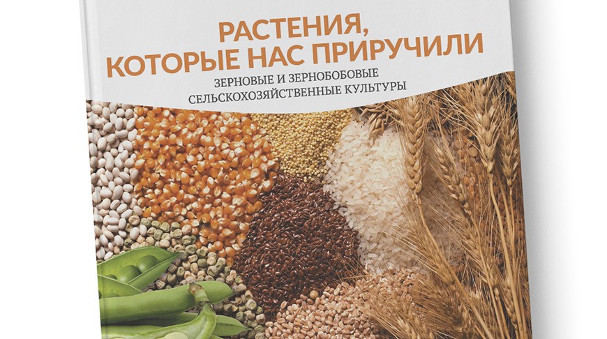 “Белорусская энциклопедия” выпустила первую книгу из нового цикла о растениях