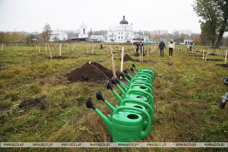 Фруктовый сад заложили во время городского субботника в Могилеве   