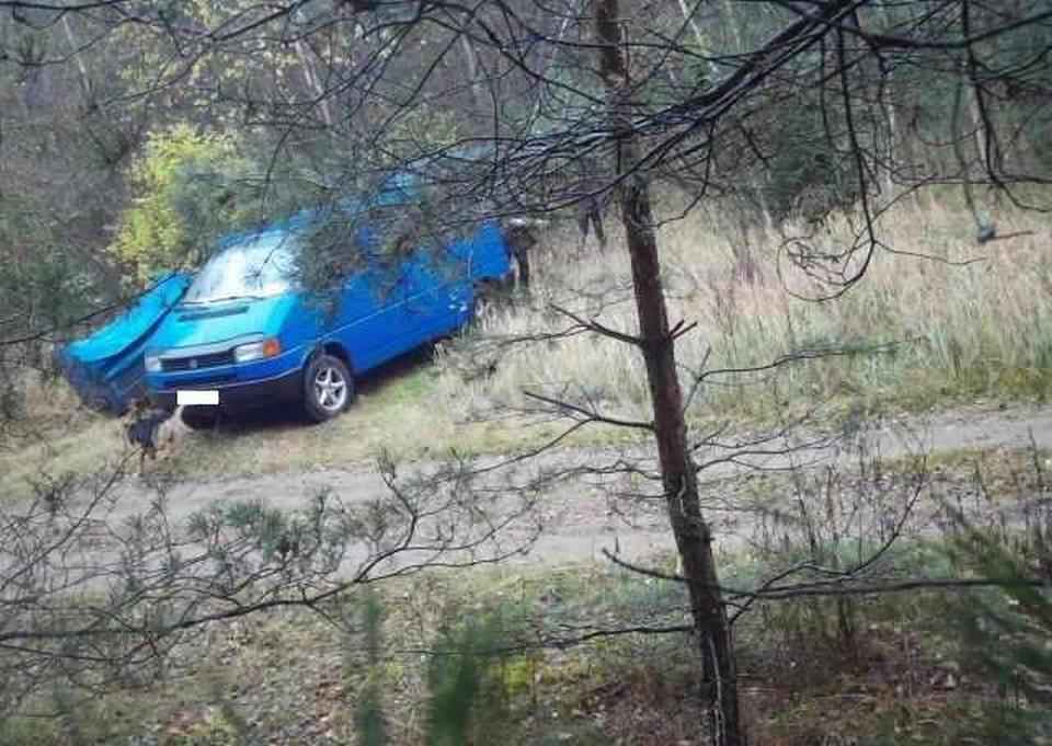 Фотоловушка помогла задержать нарушителя