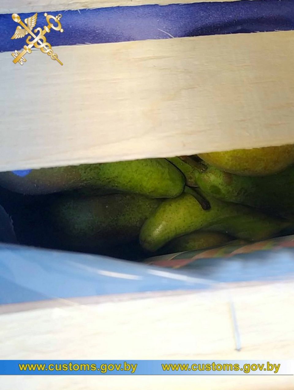 Могилевские таможенники пресекли попытку незаконной перевозки 14 тонн груш по территории ЕАЭС   