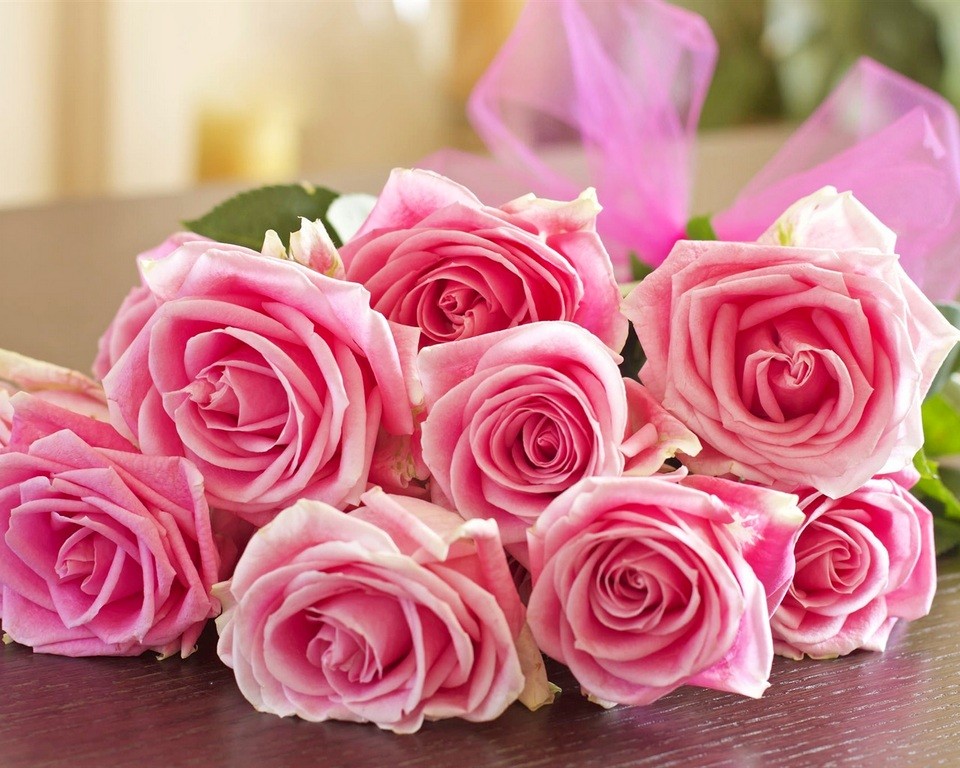 «Могилевзеленстрой» подготовит ко Дню знаний около 5 тыс. роз   