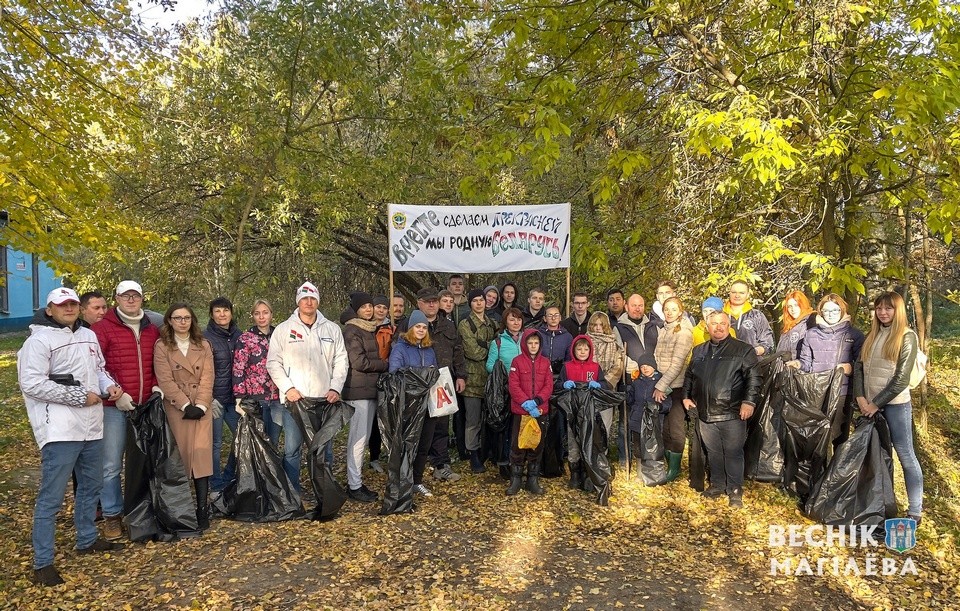 Акция «Чистый лес» проходит в Могилевской области