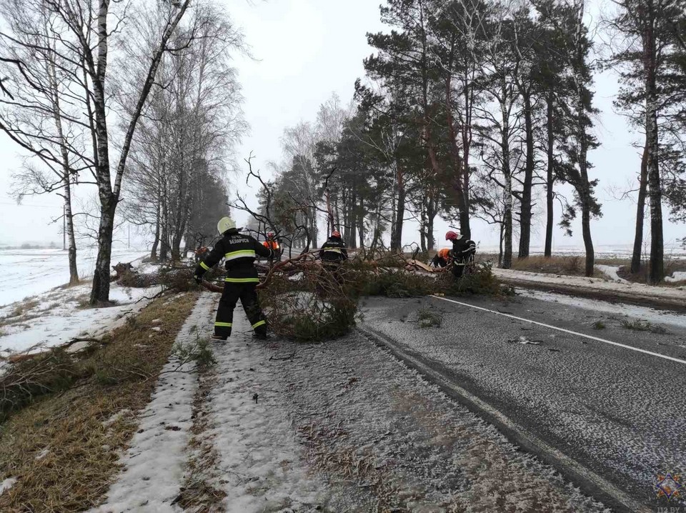Шквалистый ветер повредил кровли 199 жилых домов в Могилевской области   