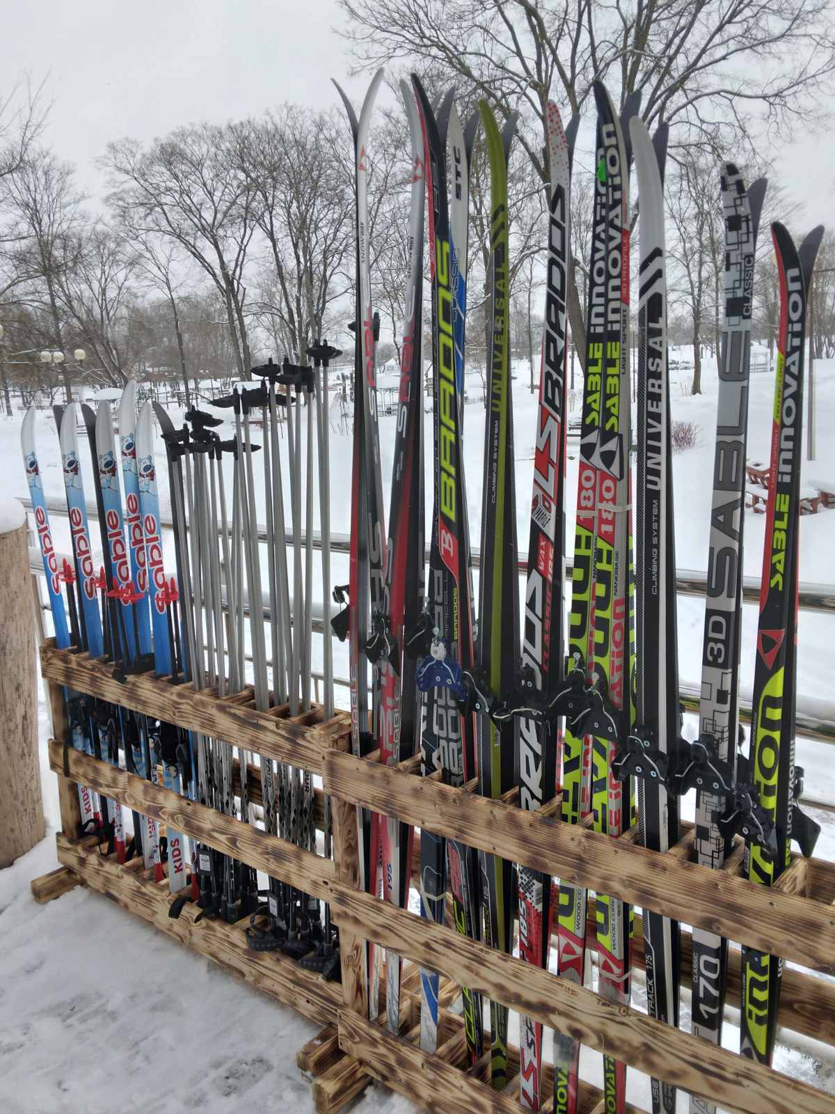 Предприятие «Могилевзеленстрой» открыло в парке Подниколье пункт проката лыж для детей и взрослых.
