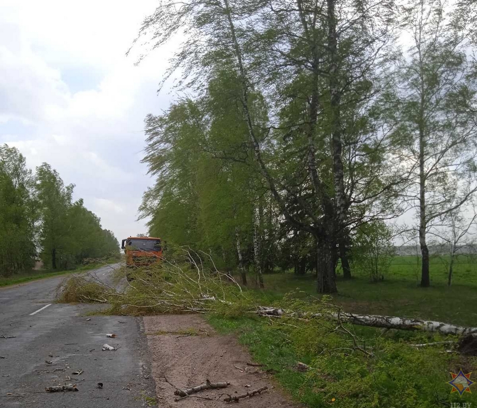 Разгул стихии в Могилевской области: травмированы две женщины   