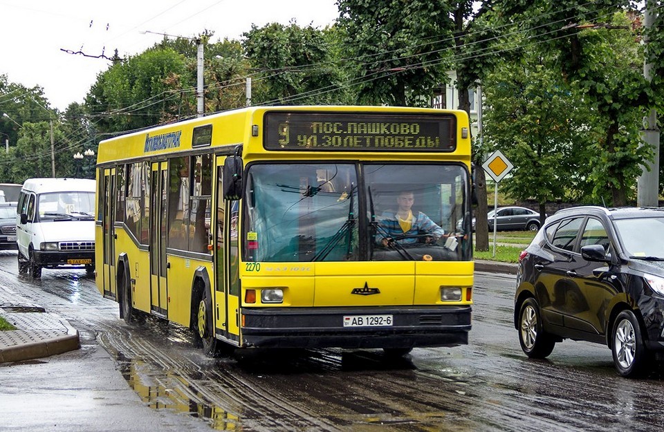 Дополнительные автобусы пустят в Печерский лесопарк в Могилеве 9 мая   