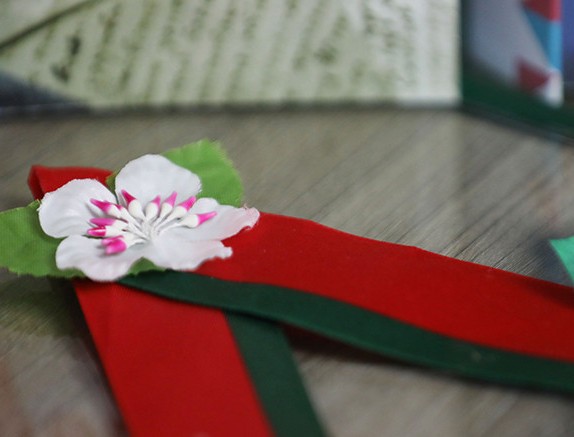 Красно-зеленая ленточка с яблоневым цветом стала символом патриотического проекта «Диктант Победы»