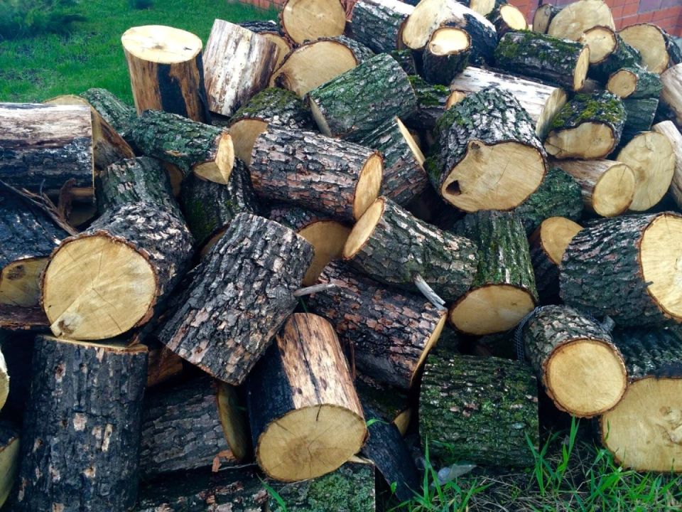 В лесхозах Могилевской области отмечается растущий спрос на дрова