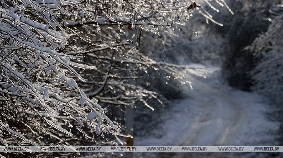 Снег и гололедицу прогнозируют синоптики в Беларуси 4 декабря   