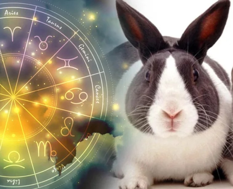 Астрологический прогноз: черный Кролик раздает подарки