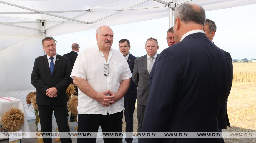 Лукашенко требует не расслабляться после уборки хлебов