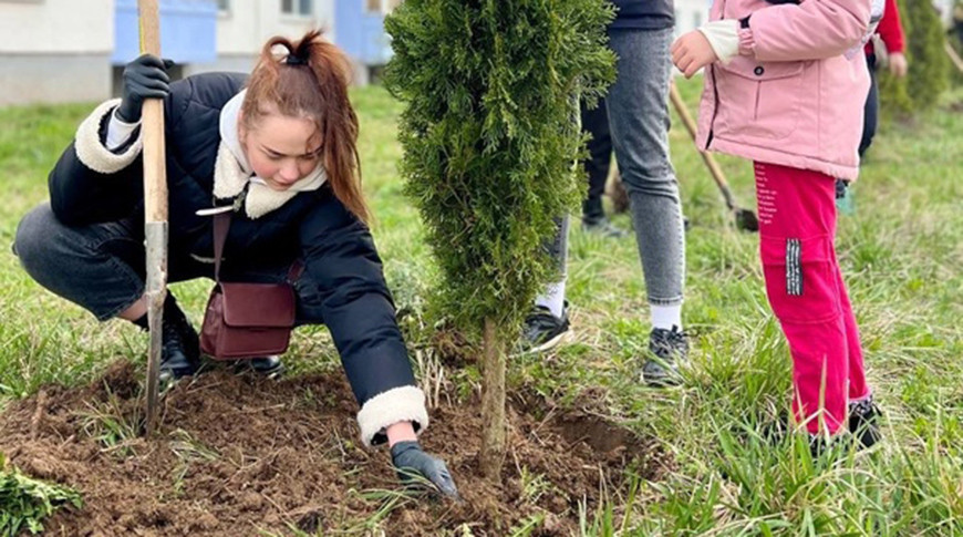 И лес обновили, и аллею в городе: молодежь Могилева присоединилась к акции по озеленению