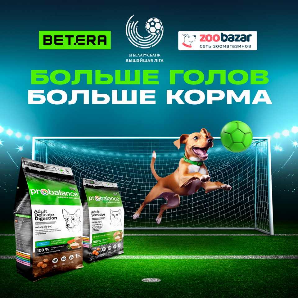 Betera Pets — масштабная акция помощи бездомным животным