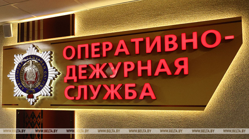 Три помещения для выращивания конопли ликвидировали в Могилевской области