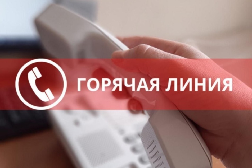 Горячая линия: вступительная кампания под контролем!