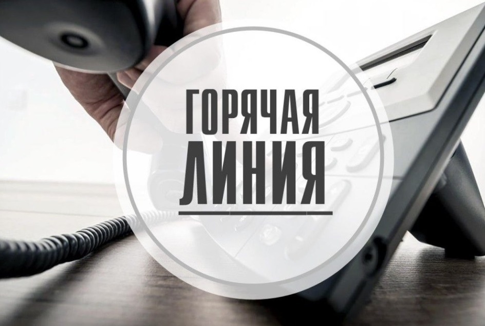 Горячая линия по вопросам легализации земель