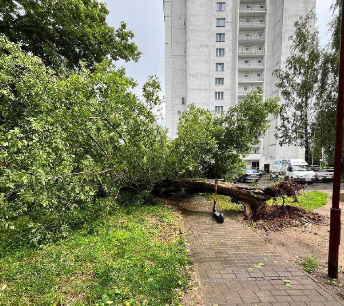 Последствия непогоды в Могилёве