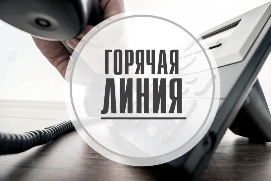 Горячая линия: изучаем мнение населения