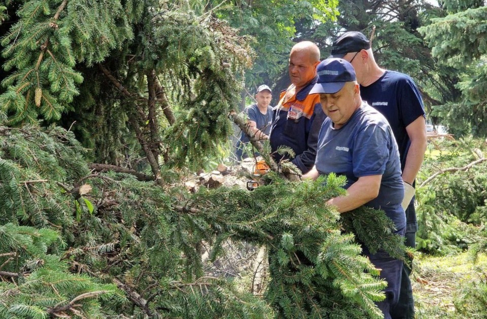 В Могилёве продолжается уборка последствий непогоды