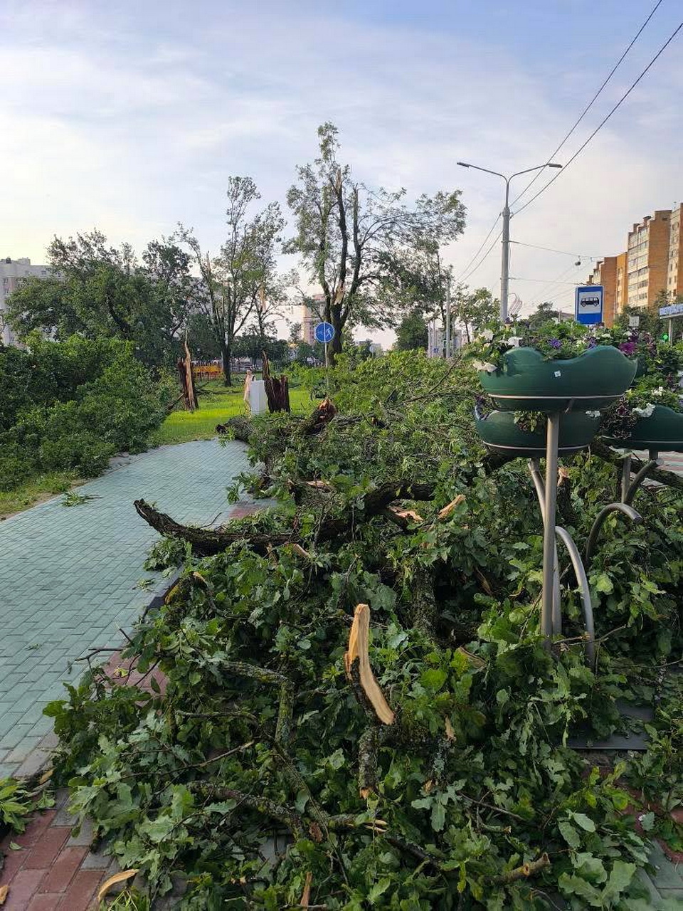 В Могилеве устраняют последствия стихии