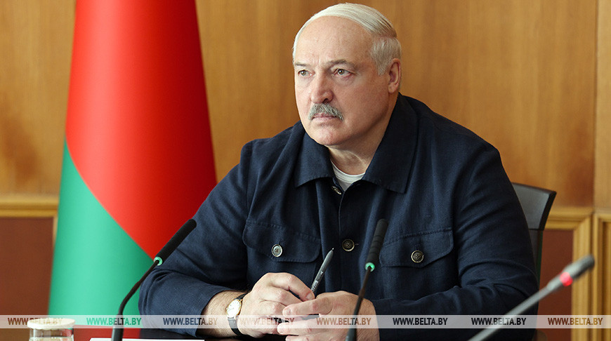 Лукашенко поручил ученым сделать устойчивый к болезням сорт картофеля