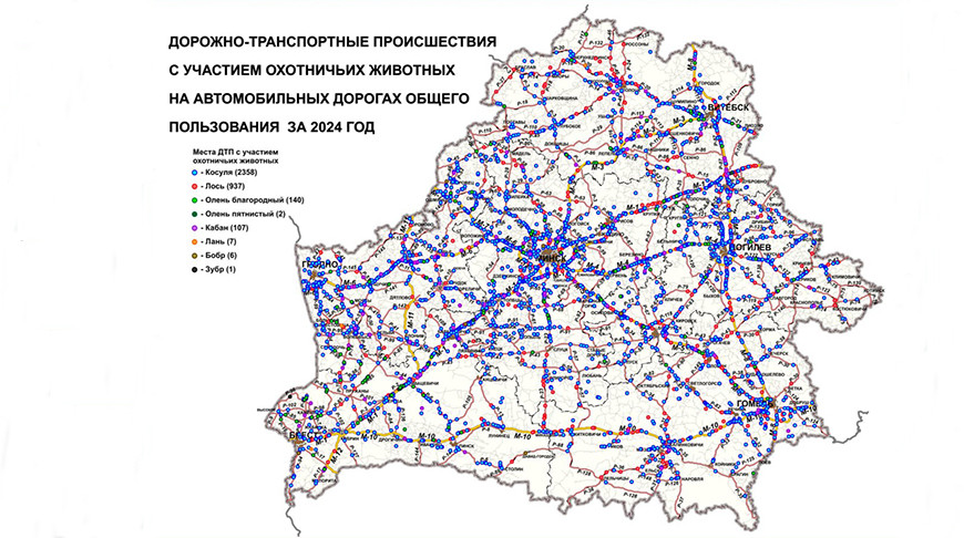 В Беларуси разработали карт-схему мест ДТП с участием охотничьих животных за 2024 год