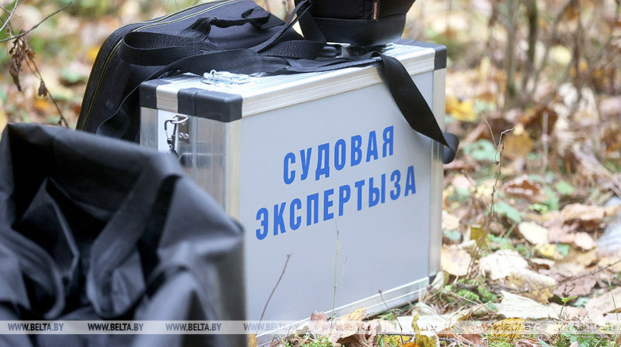 Новые данные о погибших в Казимировском лесу в годы ВОВ получили судебные эксперты из Могилева 