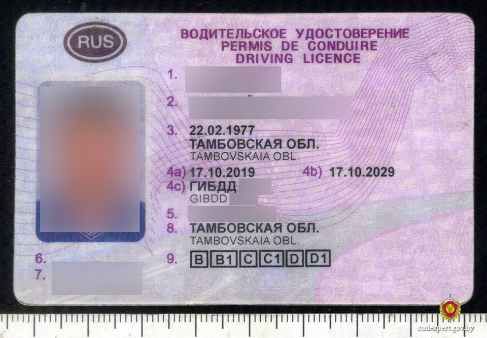 Бесправник из Могилева попался с поддельными водительскими правами и техпаспортом