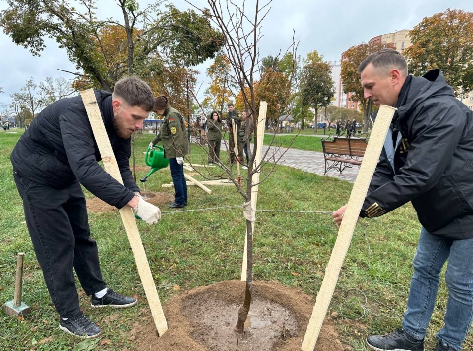 Вместе восстановим зеленые легкие родного города