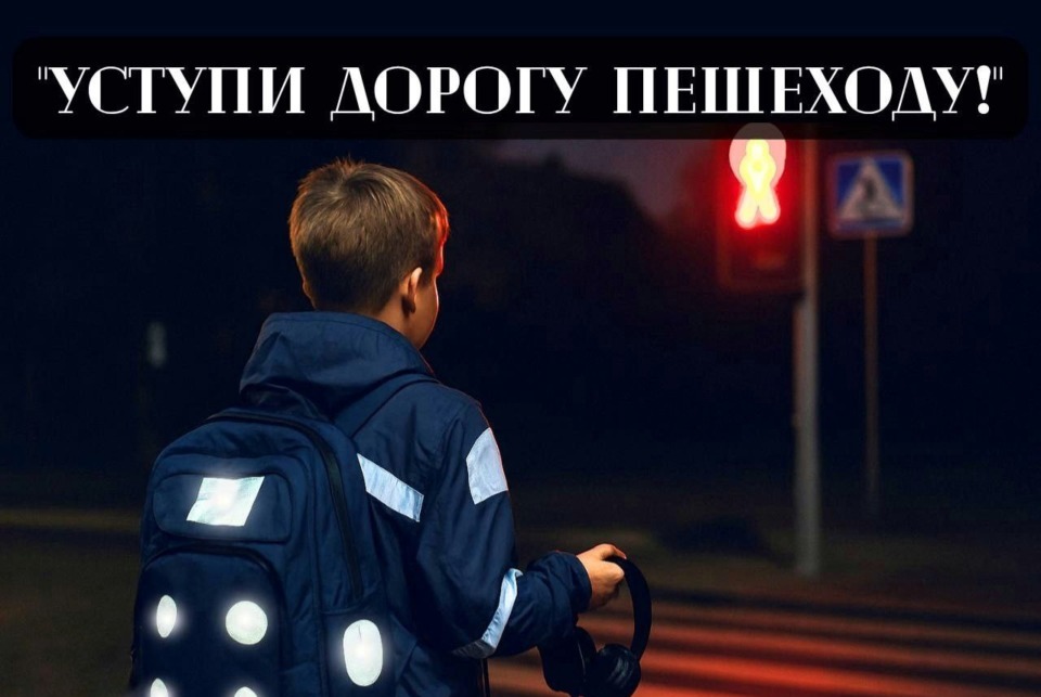 Единый день безопасности дорожного движения