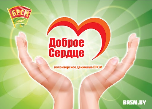 Благотворительная акция «Братья наши меньшие»