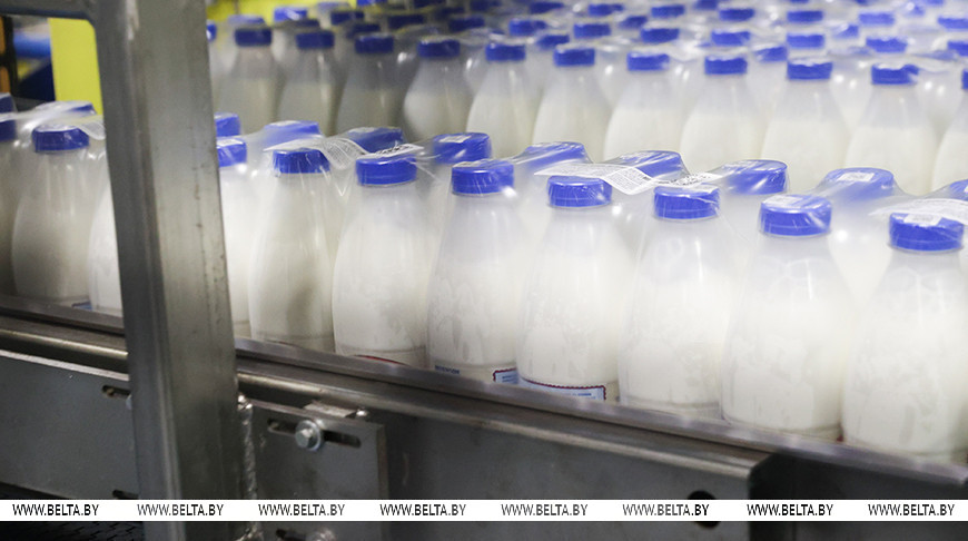 Лукашенко: Беларусь в 2025 году рассчитывает получить рекордные более $9 млрд от экспорта продовольствия