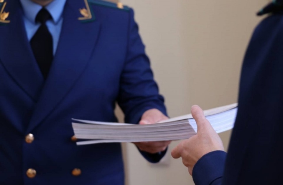 Могилевчанин возле чужого дома сорвал мак. Что решил суд?