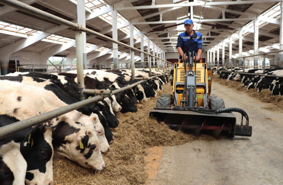 За пятилетку в Беларуси построят и реконструируют специализированные комплексы по выращиванию бычков