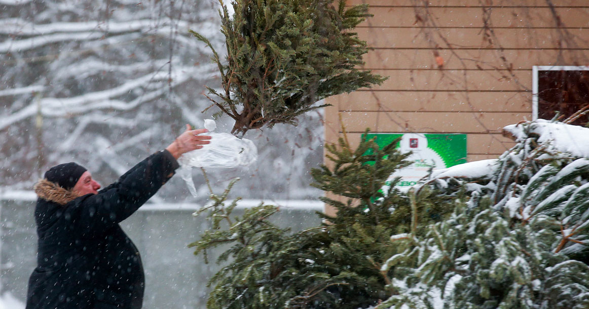 Как утилизировать елку после новогодних праздников?