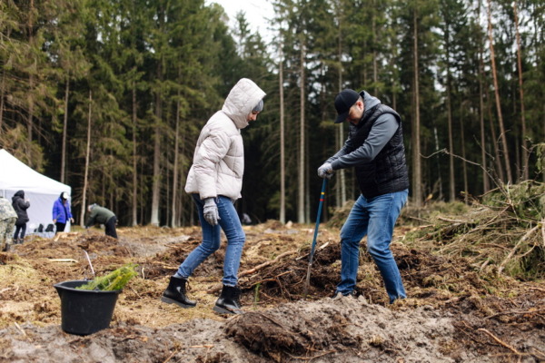 «Эко Движ. Зеленый сезон»: А1 собрал 8 000 гаджетов и высадил более 8 000 деревьев