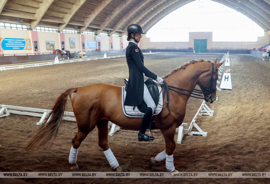 Могилевские всадники принимают участие в олимпийских днях