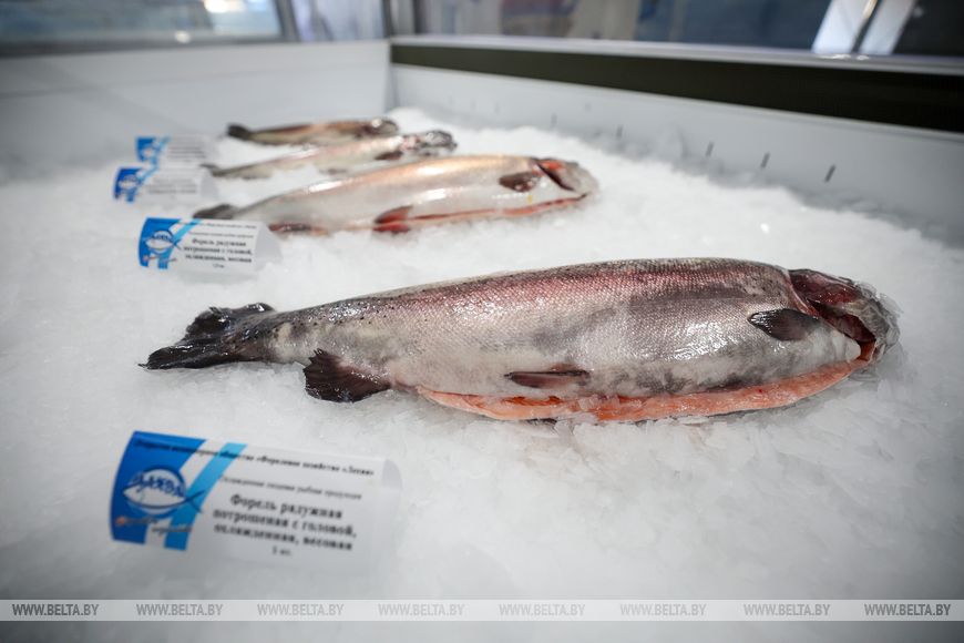 Лукашенко поручил тиражировать опыт рыбхоза «Палуж»