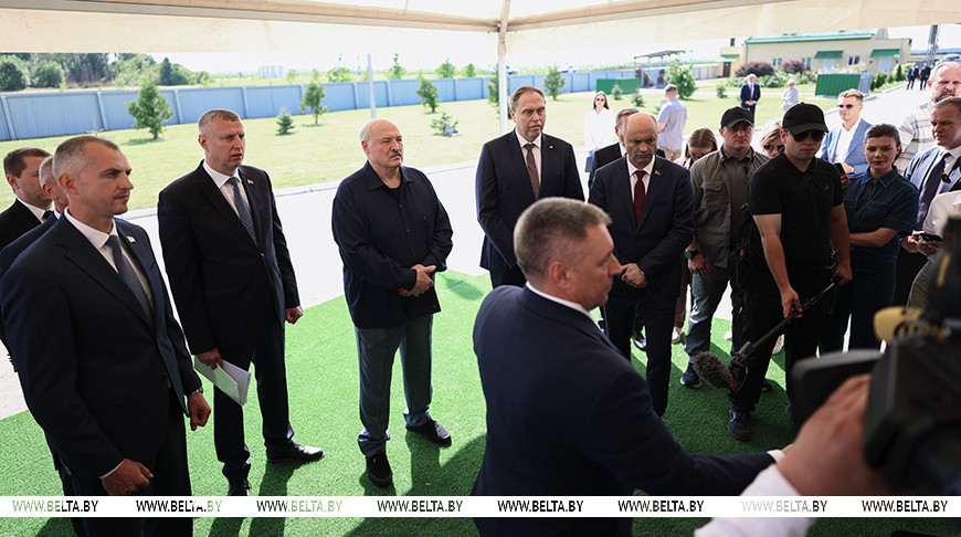 «Топчетесь на месте!» Лукашенко раскритиковал недостаточную динамику по снижению падежа КРС