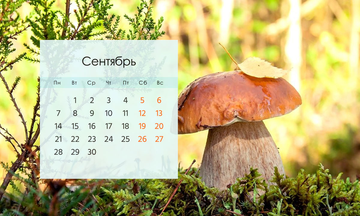Какие изменения вступают в силу в Беларуси с 1 сентября?