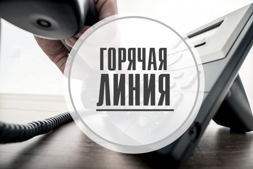 Горячая линия по вопросам соблюдения прав и гарантий для молодых специалистов